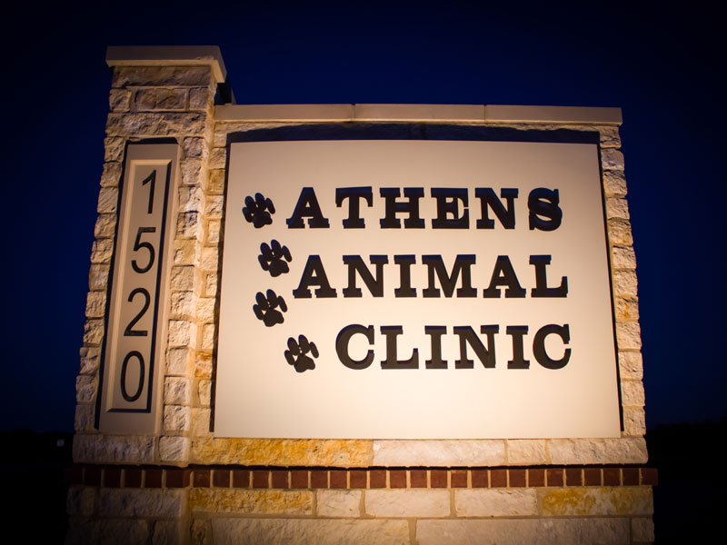 athens animal clinic phone number